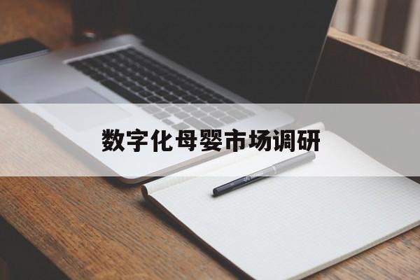 临汾市数字化母婴市场调研(数字化母婴市场调研报告)